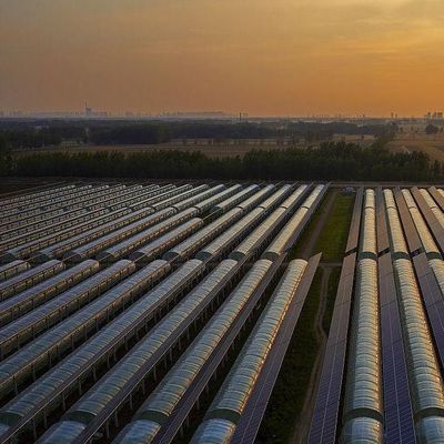 30 dagen Terugkeer Terugbetalingen Dubbellaag PE/Po Plastic Film Photovoltaïsche zonne-energie kas