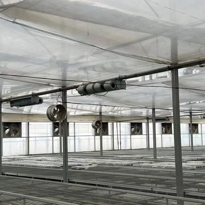 Multi-Span kas voor de groentenproductie US 20/m2 Min. Orde monsters