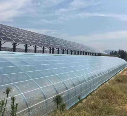 PE/Po Plastic Film Fotovoltaïsche Kas Innovatie 1209.00cm * 235.00cm * 239.00cm