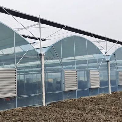 Groentenproductie Po Film kas met schaduwstelsel en 30 dagen terugbetaling