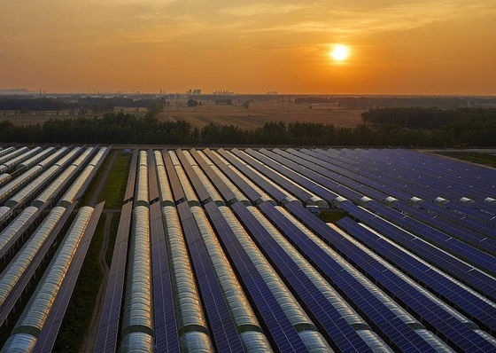 Aanpassing Multi-Span Arch Type Komkommer Salad Photovoltaïsche kasten jx-SG-20