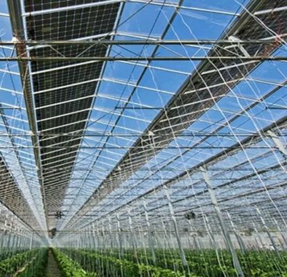 Aanpassing Multi-Span Arch Type Komkommer Salad Photovoltaïsche kasten jx-SG-20