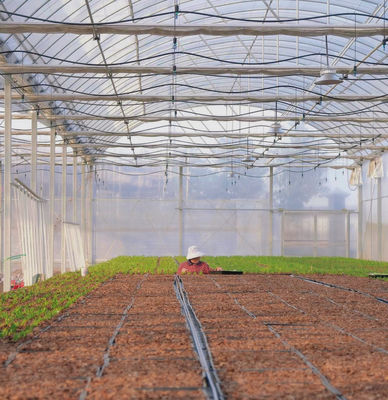 Multi-Span film kas voor de hydroponie Groeit beschermt planten tegen slecht weer