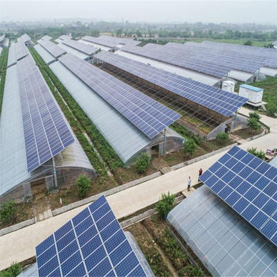 Aanpassing Multi-Span Arch Type Komkommer Salad Photovoltaïsche kasten jx-SG-20