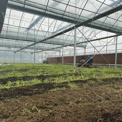 Multi-Span film kas voor de hydroponie Groeit beschermt planten tegen slecht weer