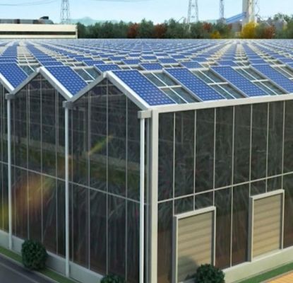 Aanpassing Multi-Span Arch Type Komkommer Salad Photovoltaïsche kasten jx-SG-20