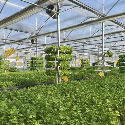 Kas met schaduwsysteem Pakket Grootte 50,00cm * 60,00cm * 50,00cm Valuta US