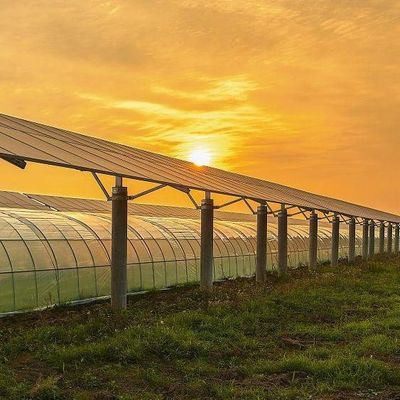 Groenhuis met meer lagen voor zonne-energie 2000.000kg Pakketbrutogewicht