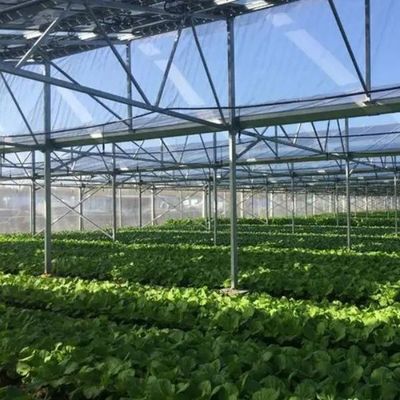 Innovatieve fotovoltaïsche commerciële kassen voor een enkele/meerdere periode voor duurzame groei