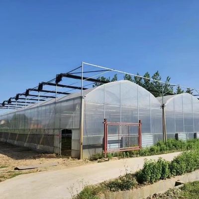 Staalstructuur Multi-Span Plastic Greenhouse Package Grootte 50,00cm * 60,00cm * 50,00cm