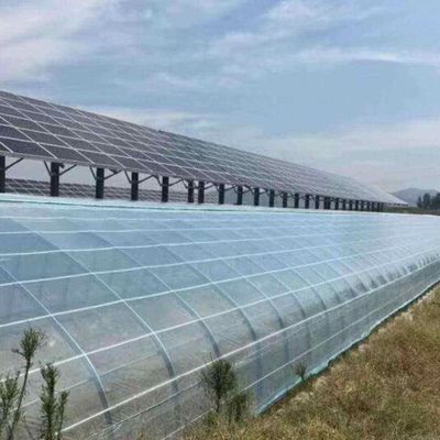 Innovatieve fotovoltaïsche commerciële kassen voor een enkele/meerdere periode voor duurzame groei