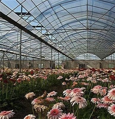 Staalstructuur Multi-Span Plastic Greenhouse Package Grootte 50,00cm * 60,00cm * 50,00cm