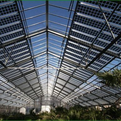 Warmteopslag Eénboog commerciële fotovoltaïsche kassen Langdurige prestaties