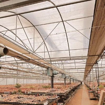 Groentenproductie Po film kas met waterleiding en lage verzendkosten