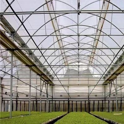 Multi Span Po Film Serre in hoog gevraagde pakket Grootte 50,00cm * 60,00cm * 50,00cm