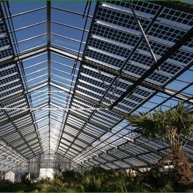 Commerciële fotovoltaïsche kas met filmbedekkingsmateriaal en niet-verwarmde verwarming