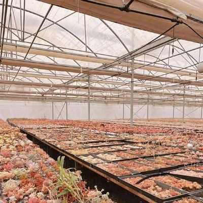 Multi-Span Tunnel Po Film Greenhouse 30 dagen Teruggave Terugbetalingen US Currency Greenhouse