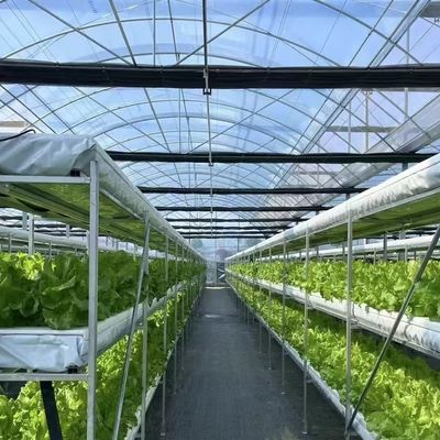 Multi-Span Tunnel Po Film Greenhouse 30 dagen Teruggave Terugbetalingen US Currency Greenhouse