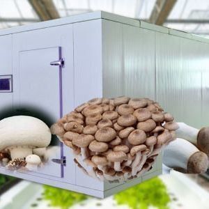Vervoerscontainer kas voor het kweken van paddenstoelen in slim ontwerp JX-CG-0001
