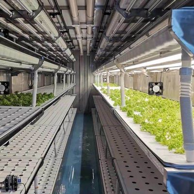 Vervoerscontainer kas voor het kweken van paddenstoelen in slim ontwerp JX-CG-0001