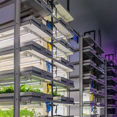 Vervoerscontainer kas voor het kweken van paddenstoelen in slim ontwerp JX-CG-0001