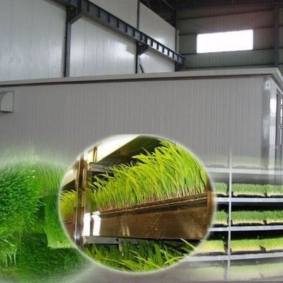 Velefunctioneel voeder in een container voor het verbouwen van bloemen/groenten/zaad in dubbele lagen