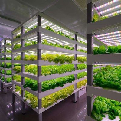 Verzendkosten en geschatte levertijd Container kassen voor bladgroenten