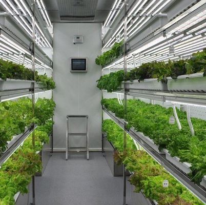 Verzendkosten en geschatte levertijd Container kassen voor bladgroenten
