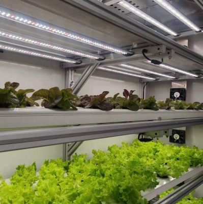 Verzendkosten en geschatte levertijd Container kassen voor bladgroenten