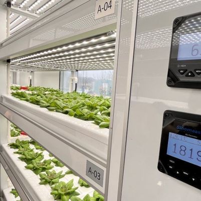 Verzendkosten en geschatte levertijd Container kassen voor bladgroenten