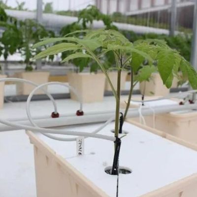 Staalconstructie Verticale landbouwcontainer kas met meervoudig hydroponisch systeem