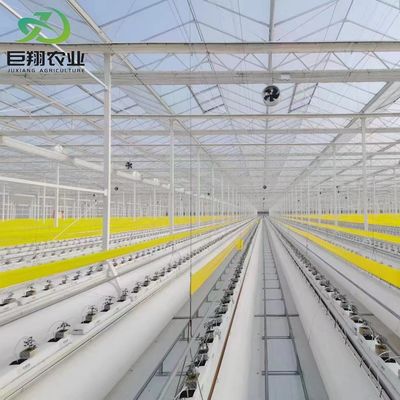 Staalconstructie Verticale landbouwcontainer kas met meervoudig hydroponisch systeem