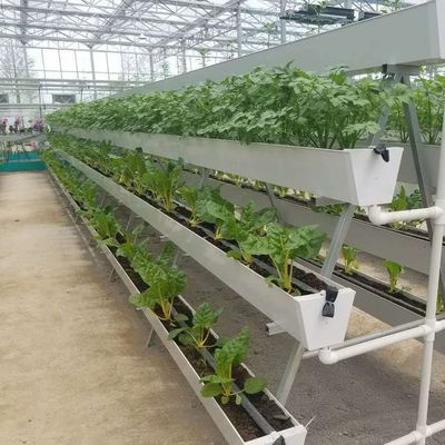 Verticale landbouwcontainer met een hoge breedte met substraatcultuurstelsel