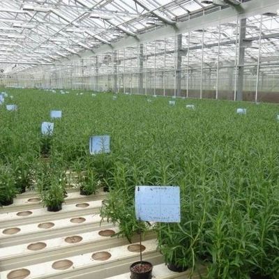 Verticale landbouwcontainer met een hoge breedte met substraatcultuurstelsel