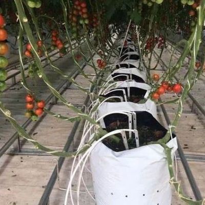 Verticale landbouwcontainer met een hoge breedte met substraatcultuurstelsel