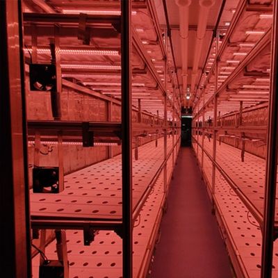 Multi-Span Landbouwgreenhouses 40ft Container Hydroponisch Verticaal Landbouwsysteem
