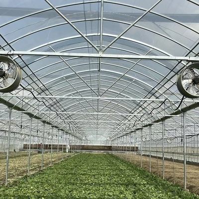 Multi Span kas met geavanceerde technologie 50.00cm * 60.00cm * 50.00cm