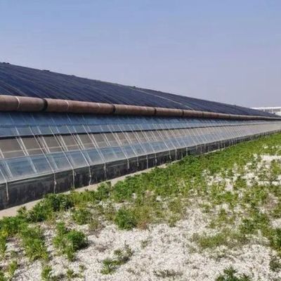 Plastic Greenhouse Department Multi-Span Po/PE Commerciële kas met hydroponics