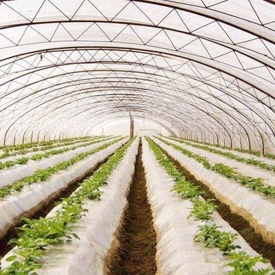 Plastic Greenhouse Department Multi-Span Po/PE Commerciële kas met hydroponics