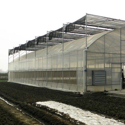 Plastic Greenhouse Department Multi-Span Po/PE Commerciële kas met hydroponics
