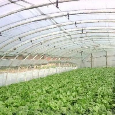 Plastic Greenhouse Department Multi-Span Po/PE Commerciële kas met hydroponics