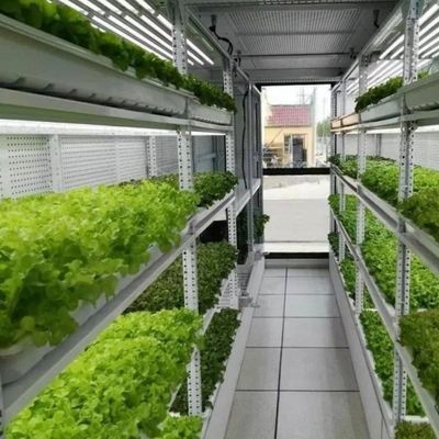 Type Intelligente besturing Landbouw Hydroponische containerboerderij op maat