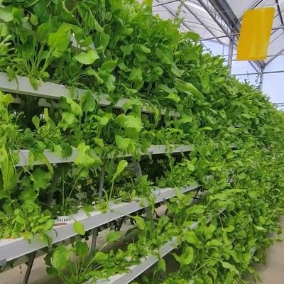 2000.000kg Pakket Bruto Gewicht Commerciële kas voor hydroponie Klimaatgecontroleerd