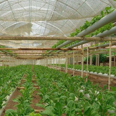 2000.000kg Pakket Bruto Gewicht Commerciële kas voor hydroponie Klimaatgecontroleerd