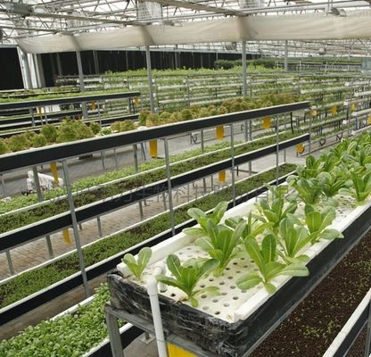 2000.000kg Pakket Bruto Gewicht Commerciële kas voor hydroponie Klimaatgecontroleerd