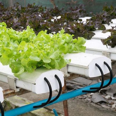 2000.000kg Pakket Bruto Gewicht Commerciële kas voor hydroponie Klimaatgecontroleerd