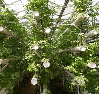 Temporary Heating Hydroponic Film Greenhouse met vochtigheidscontrolesysteem JX-FG-212