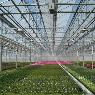 Temporary Heating Hydroponic Film Greenhouse met vochtigheidscontrolesysteem JX-FG-212