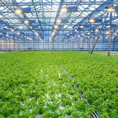 Temporary Heating Hydroponic Film Greenhouse met vochtigheidscontrolesysteem JX-FG-212