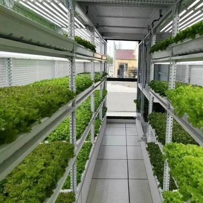 Bespaar ruimte met ons groenhuis viscontainer geavanceerd verticaal hydroponics systeem